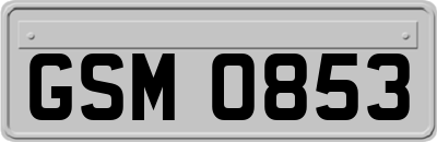 GSM0853