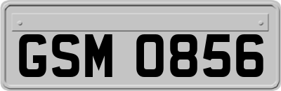 GSM0856