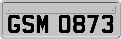GSM0873