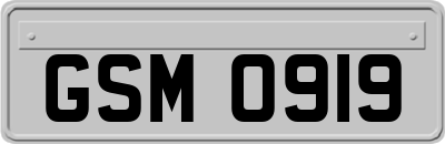 GSM0919