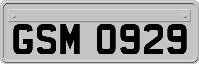 GSM0929