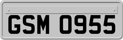 GSM0955