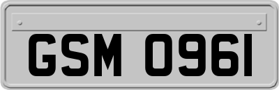 GSM0961