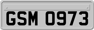 GSM0973
