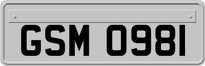 GSM0981