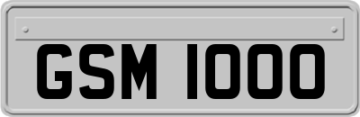GSM1000