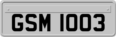 GSM1003
