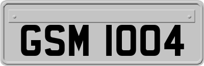 GSM1004
