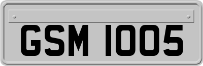 GSM1005