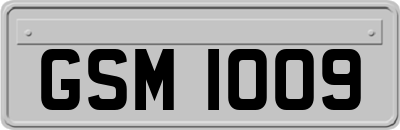 GSM1009