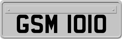 GSM1010