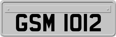 GSM1012