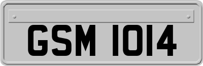GSM1014