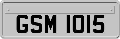 GSM1015