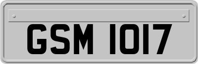 GSM1017