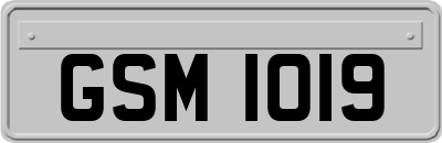 GSM1019