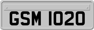 GSM1020