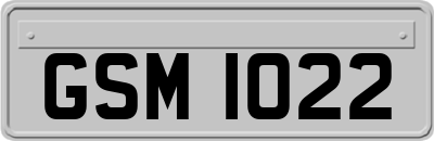 GSM1022