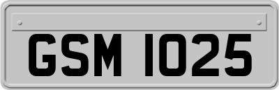 GSM1025
