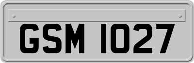 GSM1027