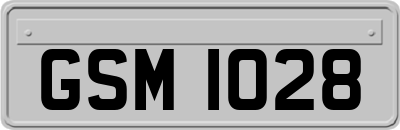 GSM1028