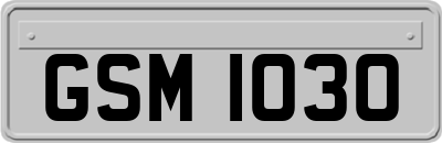 GSM1030