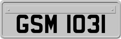 GSM1031
