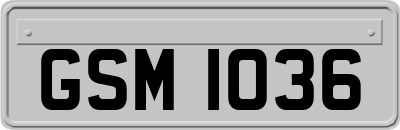 GSM1036