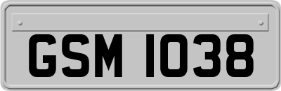 GSM1038
