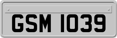 GSM1039