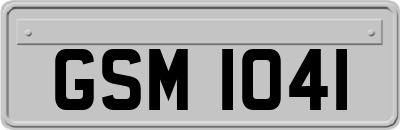 GSM1041