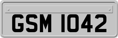 GSM1042
