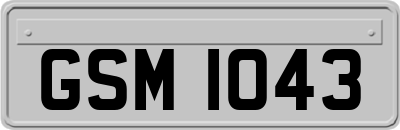GSM1043