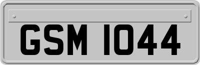GSM1044