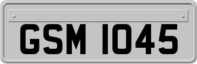 GSM1045
