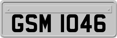 GSM1046