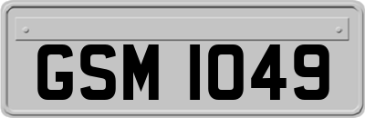 GSM1049