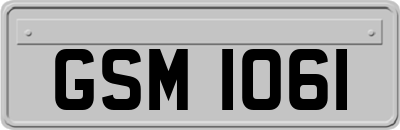 GSM1061