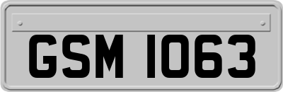 GSM1063