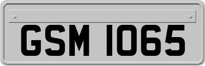 GSM1065