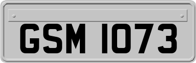 GSM1073