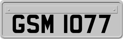 GSM1077
