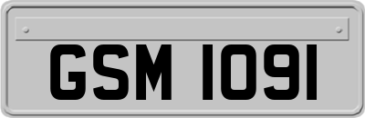 GSM1091