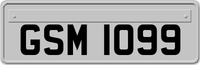 GSM1099