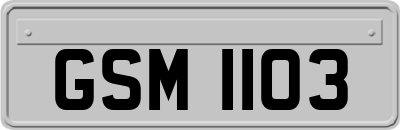 GSM1103