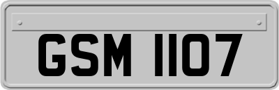 GSM1107
