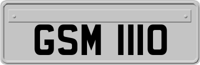 GSM1110