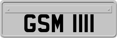 GSM1111