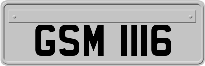 GSM1116