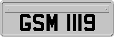 GSM1119